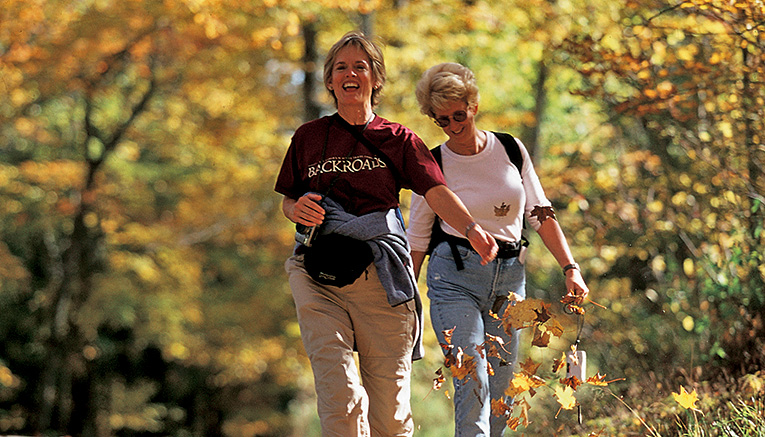 Wvsi-vermont-walking-5